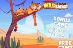Wild Safari
