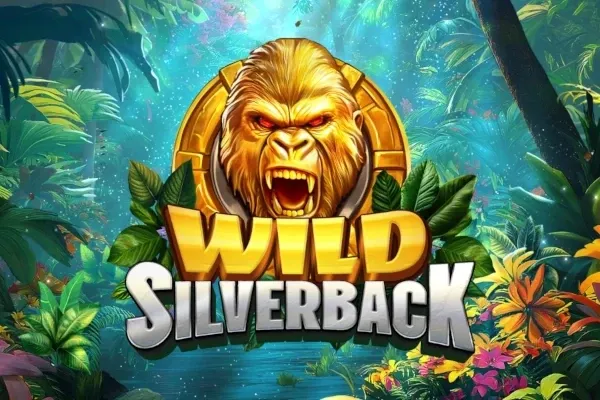 Wild Silverback