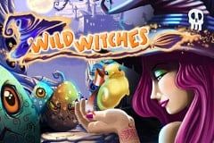 Wild Witches