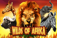 Wilds of Africa