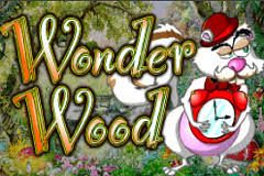 Wonder Wood