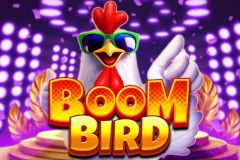 Boom Bird